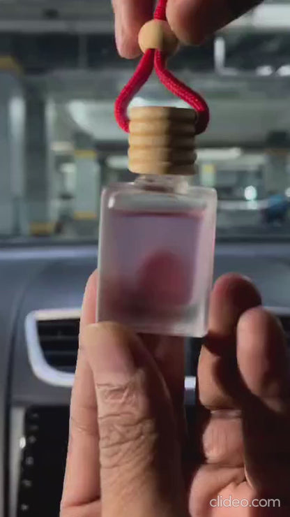 Hanging Car Perfume Pods Diffuser Scent (Pack of 1 Assorted Perfume)
